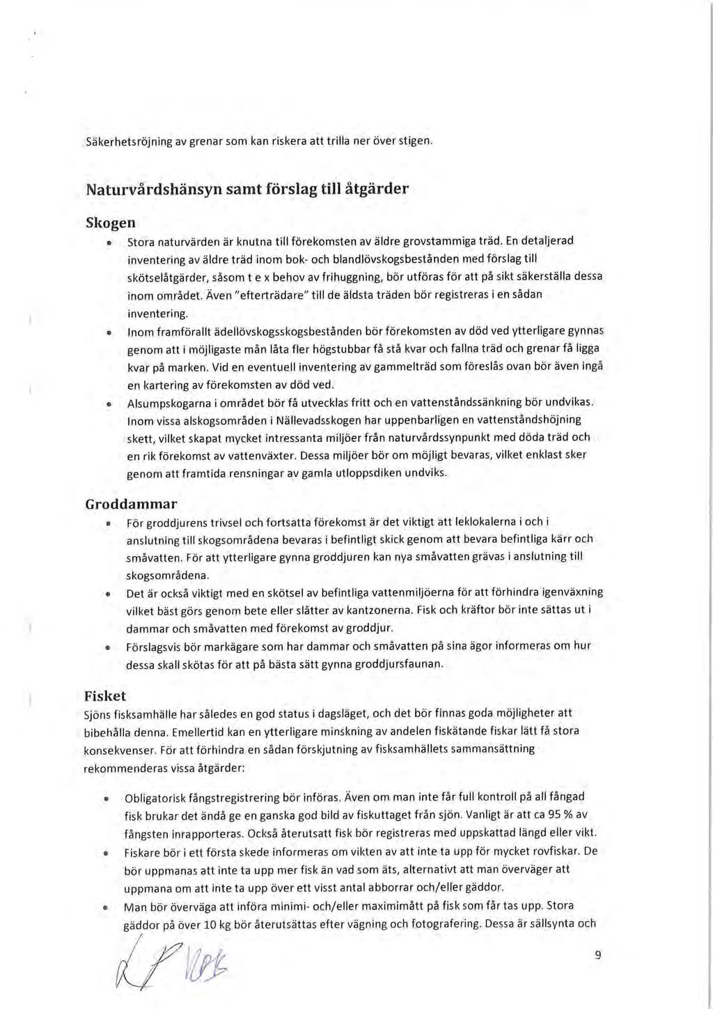 Säkerhetsröjning av grenar som kan riskera att trilla ner över stigen. Naturvårdshänsyn samt förslag till åtgärder Skogen Stora naturvärden är knutna till förekomsten av äldre grovstammiga träd.