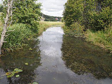 AB15. Märstaån, Steninge SE661509-161755 Län: 1 Stockholm Beskuggning: saknas Kommun: Sigtuna Vattennivå: medel Koordinater: 6610860/659362 (SWEREF99 TM) Vattenhastighet: lugnt Provtagningsmetodik: