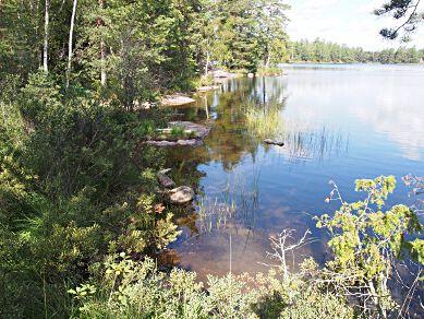 K27. Trönsjön, utloppet SE655256-159164 Län: 1 Stockholm Beskuggning: 5-50 % Kommun: Södertälje Vattennivå: låg Koordinater: 6551615/637921 (SWEREF99 TM) Vattenhastighet: stilla Provtagningsmetodik: