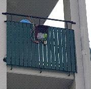att se om några förändringar är nödvändiga innan vi genomförde fältstudien i Härnösand.