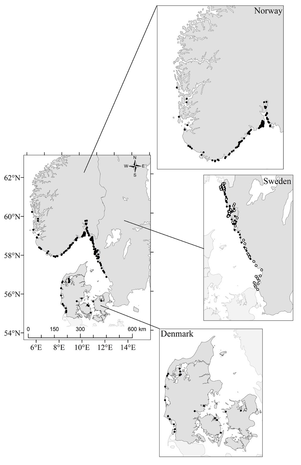 The Pacific Oyster (Crassostrea gigas) Invasion in Scandinavian Coastal Waters: Impact on Local Ecosystem Services 231 individuals m -2 in the Wadden Sea), to medium (50 individuals m -2 in the