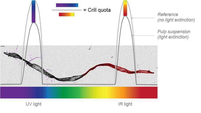 UV Light IR Light