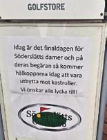 Damkommittén forts.