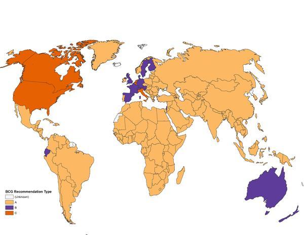 Figure 2. Map displaying BCG vaccination policy by country. www.bcgatlas.org Zwerling A, Behr MA, Verma A, Brewer TF, et al.