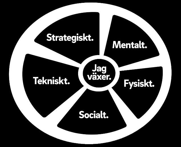 4(35) Spelarutvecklingshjulet Utvecklingen bygger på fem områden socialt, mentalt, strategiskt, tekniskt och fysiskt. Tillsammans bildar de Spelarutvecklingshjulet.