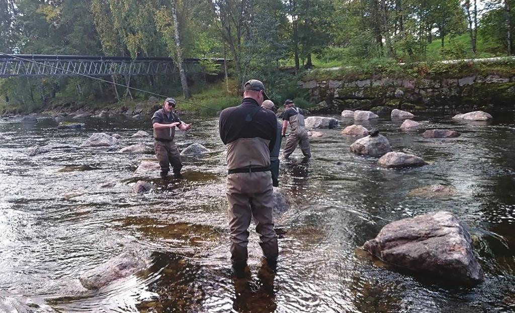 Vårt åtagande: Restaurering av Harmångersån Projektet Restaurering av Harmångersån startade 2015 på initiativ av Elkraft Sverige i samarbete med Bergsjö och Harmångers fiskeområden.