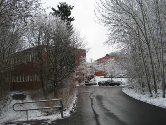 Blackebergs gymnasium ligger söder om planområdet och gymnasieskolans sporthall gränsar direkt med planområdet.