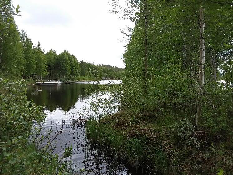8. Norrstrand LIS-området Norrstrand ligger vid Ångermanälven, öster om Åsele tätort. Området avgränsas av Ångermanälven i väst, riksväg 92 i norr och riksväg 90 i öst och syd.