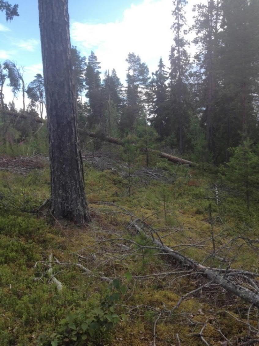och en industribyggnad, ett rökeri. Trycket av etablering i strandnära läge har varit högt de senaste åren då exempelvis f.d. campinganläggningen styckats av till mindre tomter för etablering av fritidshusboende utöver redan befintlig bebyggelse.