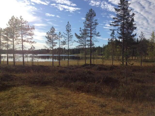 (vatteninformation i Sverige). I Lövås bor 14 personer och i Nordanås bor 13 personer (december 2015). LIS-områdena utgör tillsammans ca 2 km av strandlinjerna.