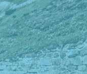 Dolomites Ultra Trail 82