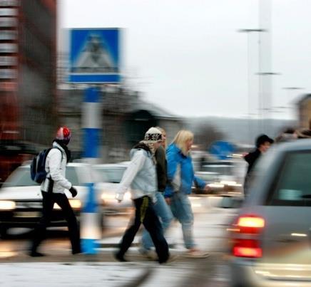 båda parterna gemensamt att avgöra vilka risker/frågor som ska ingå i agendan på vår-