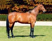 Hingster/vallaker: Presentasjon av fedre Cantab Hall (us) f. 2001 2,1:56.1m 3,1:54m/USD 1.442.303 23 starter: 14-5-2 Katalognr: 16, 81, 84, 85, 132 e. Self Possessed (us) Canland Hall (us) e.
