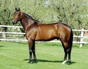 Hingster/vallaker: Presentasjon av fedre Dream Vacation (us) f.1997 3,Q1:54.4m 4,1:52m/USD 616.257 22 starter: 3-4-2 Katalognr: 111 e. Pine Chip (us) Dream On Victory (us) e.