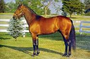 Presentasjon av fedre Explosive Matter (us) f. 2006-3-09,2ak/ USD 1.510.542-20 starter : 11-6-1 Katalognr: 130 e.