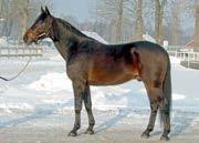 2 av seirene ble han fratatt senere, men sesongen resulterte i inntjening på $ 176 671 og en rekord på 1.12.5 satt som vinner i finalen i Lexington Breeders Classic.
