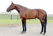 Han vant American National 2001 & 2002, Breeders Crown 2002, Canadian Trotting Classic 2002, Stanley Dancer Memorial 2002 og Titan Cup 2003.
