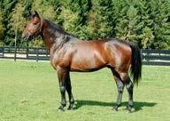 Hingster/vallaker: Presentasjon av fedre Lindy Lane (us) f. 1993 2,1:56m 3,1:53m / USD 895.110 21 starter: 11-3-3 Katalognr: 108 e. Valley Victory (us) Lindiliana (us) e.