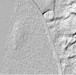 Ett grid med 1 meters upplösning framställs med linjär interpolering i ett TIN (Triangulated Irregular Network) utifrån laserpunkter klassificerade som mark och vatten.