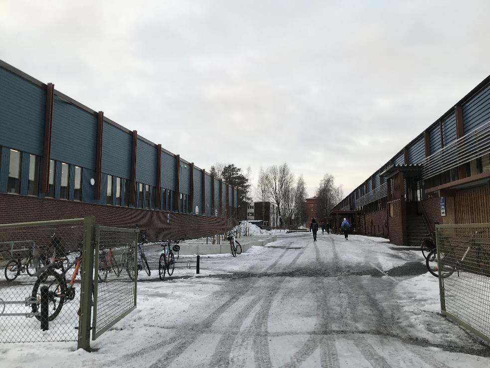 Livslångt lärande Vi behöver arbeta mer med föräldrarna också för att nå familjerna och förklara hur saker, så som föreningslivet, fungerar.
