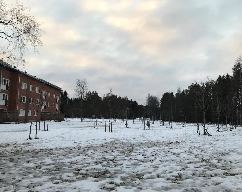 Vid entrén till centrum möts människor, och det finns även mindre rum mellan skola och kulturcentrum, samt fotbollsplanen i mitten av området och grönområdet i söder.