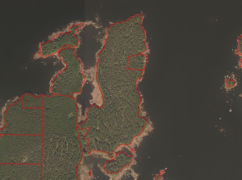 Program för deltagande och