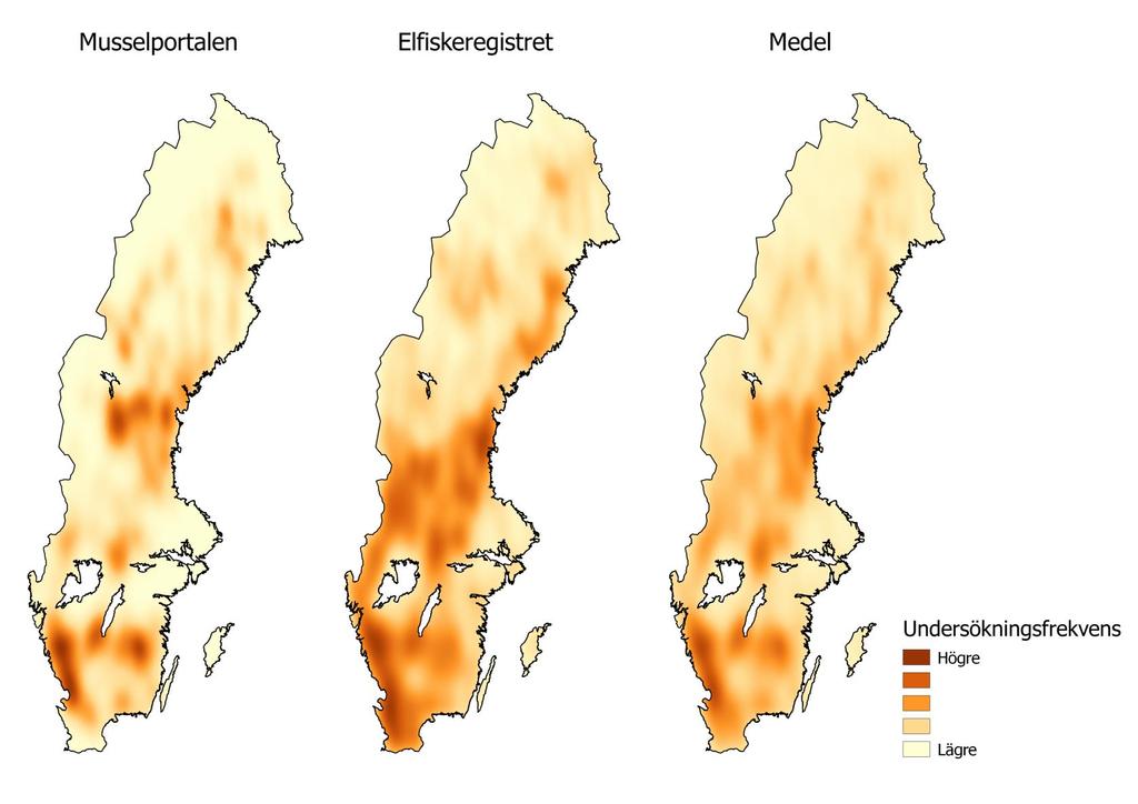 Flodpärlmusslans utbredning; Species distribution modeling, SDM MaxEnt kan hantera data