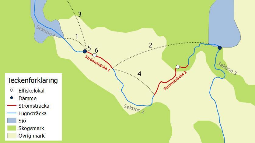 Avstånd ned och upp; damm, strömsträcka, sjö. Antal & längd av strömsträckor inom sektion.