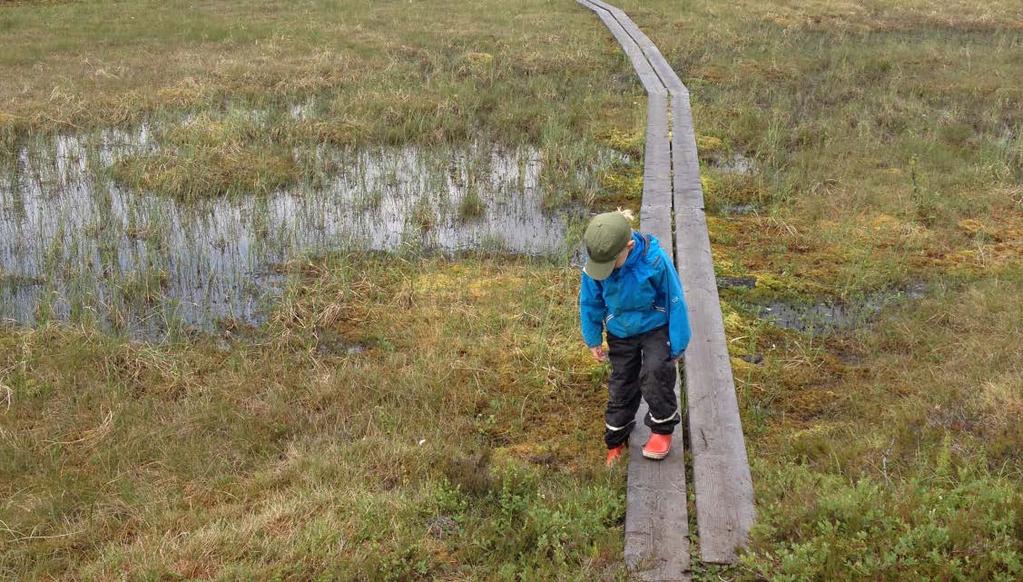 stigen och gc-vägen längs Dalvägen.