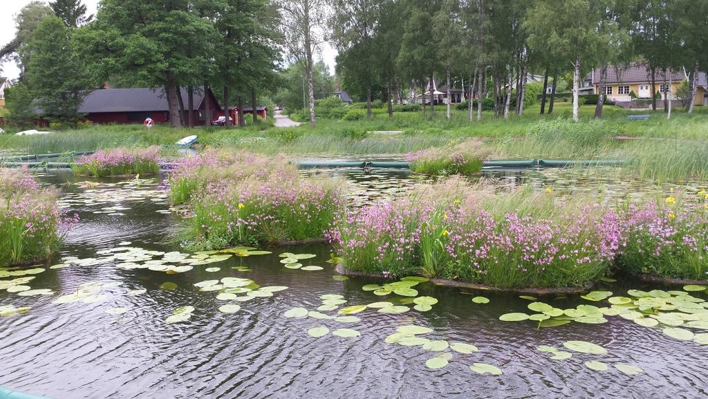 Det ska finnas en variation i strändernas utformning, med både stenskodda stränder och planterade stränder, för en större variation och möjlighet till större