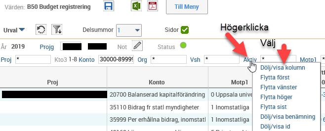 På denna bild budgeteras: - Ev registrering av beräknat ingående balanserat kapital på konto 20700 - Omfördelat kapital på konto 20710.