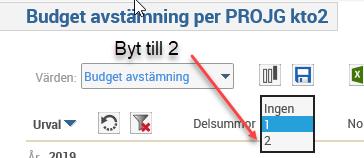 2 för att få summering per projekt Budget avstämning löner (valbart år) Rapporten visar en sammanställning