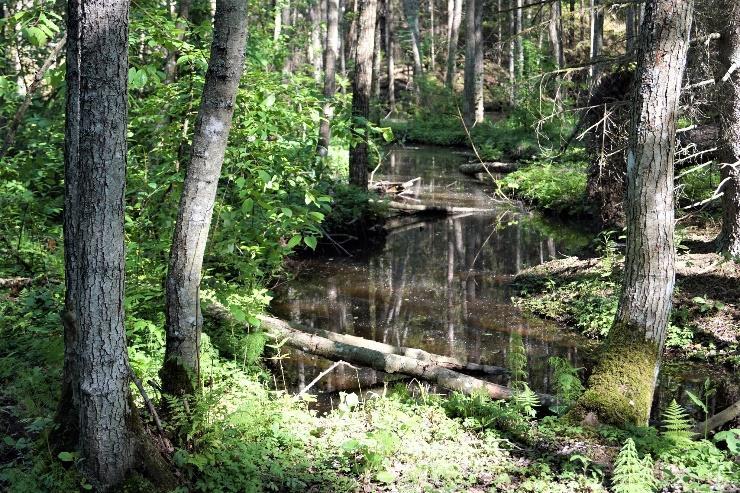 Vagnslider Öppen byggnad, utbyggd från ladugårdens baksida, stomme av