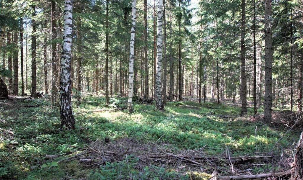 Ägare: Birgitta Svensson. Försäljningsförutsättningar Förfarande Anbud ska avse hel eller del av fastigheten och ska vara mäklaren tillhanda senast 2019-08-22.