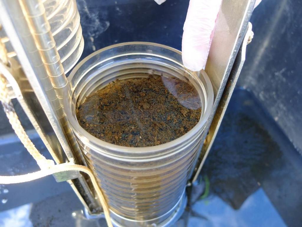 41 livsmedel med de allra högsta halterna av dioxiner och PCB hamnar på marknaden. Fet fisk från Östersjön, Vänern och Vättern innehåller ofta dioxin och PCB över EU:s gränsvärden.