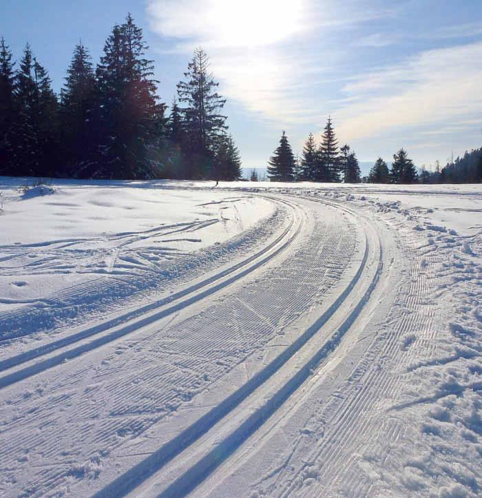 41. Jahrgang Mittwoch, den 16. Januar 2019 Ausgabe 3/2019 Alles still!
