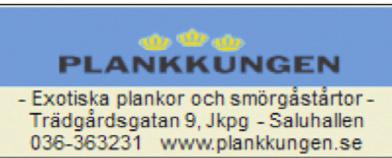 30 Övning av sånger inför 1: a advent - övningstillfällen och lista