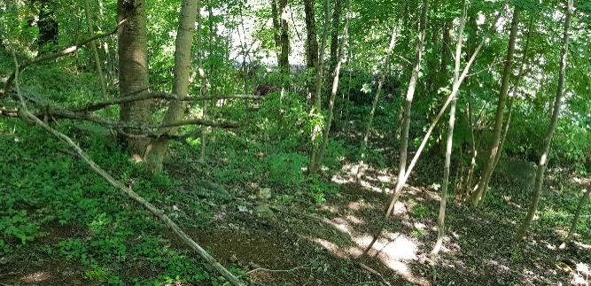 Anslutande norr om bergsslänten ligger ett blockområde med is- och erosionsavsatta block samt bergschaktmassor i vad som påminner om en s.k. rasbrant (figur 4).