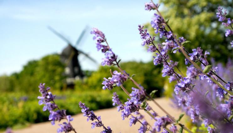 Foto: Malmö stad, Jenny Leyman Bekämpningsmedel Bekämpningsmedel omfattar dels växtskyddsmedel och dels biocidprodukter.