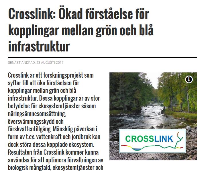 Forskning i