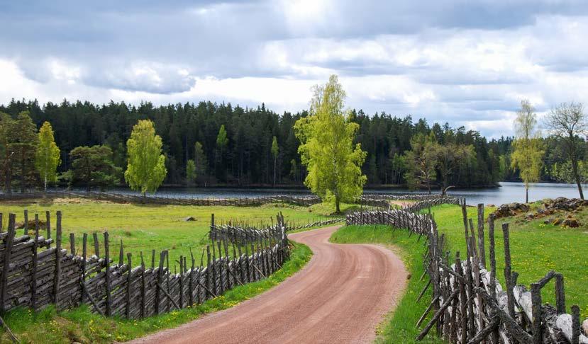 SVENSKTILLVERKAD 18 19 Kondensatordrift ger driftsäkerhet och lång livslängd Miljövänlig Samma briljans och