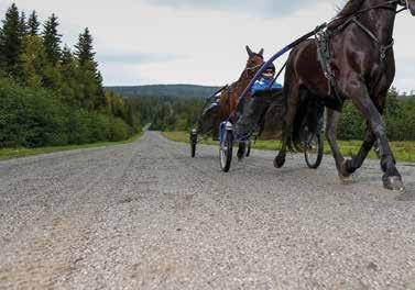 Tävlingsprogram 0 Söndag jan V 0 Fredag april V aug V nov V Söndag jan Travfest med V Söndag april Breddtrav, fm V 0 Tisdag aug V nov Lunchtrav V/V *Reservation för ev ändringar.