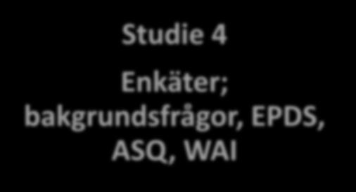 13 st Föräldrar Studie 4