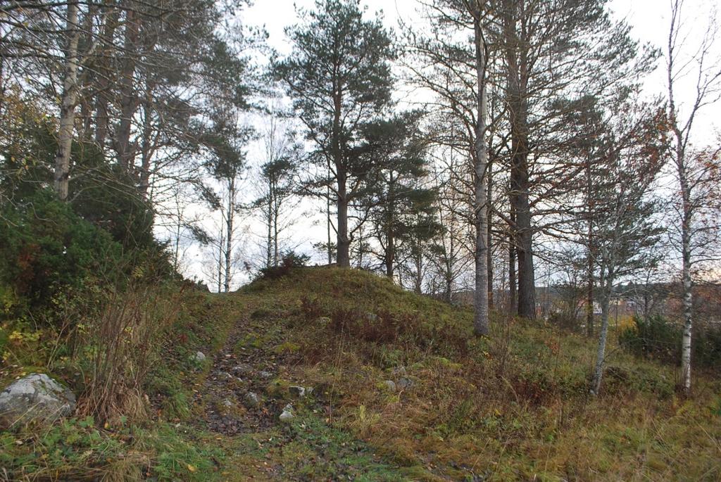 Rapport Länsmuseet Gävleborg 2018:18 PLANOMRÅDE HÅSTAÄNG Arkeologisk utredning Håsta