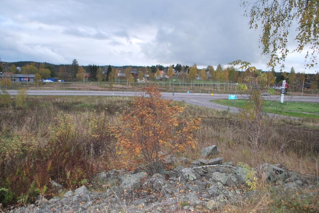 SAMMANFATTNING Länsmuseet Gävleborg har utfört en arkeologisk utredning invid ett gravfält, RAÄ 137:1 Hälsingtuna socken i Hudiksvalls kommun.