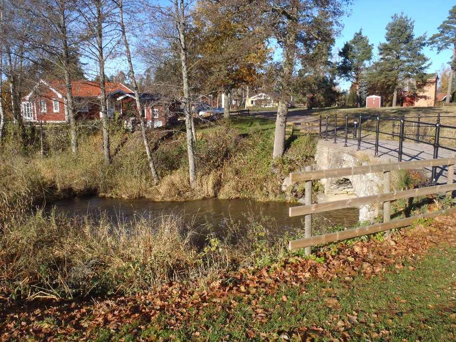 460. Mariedalsån, Källby Datum: 2010-10-26 Kommun: Götene Koordinat: 6491000/1353550 0-10 m nedströms gångbron.