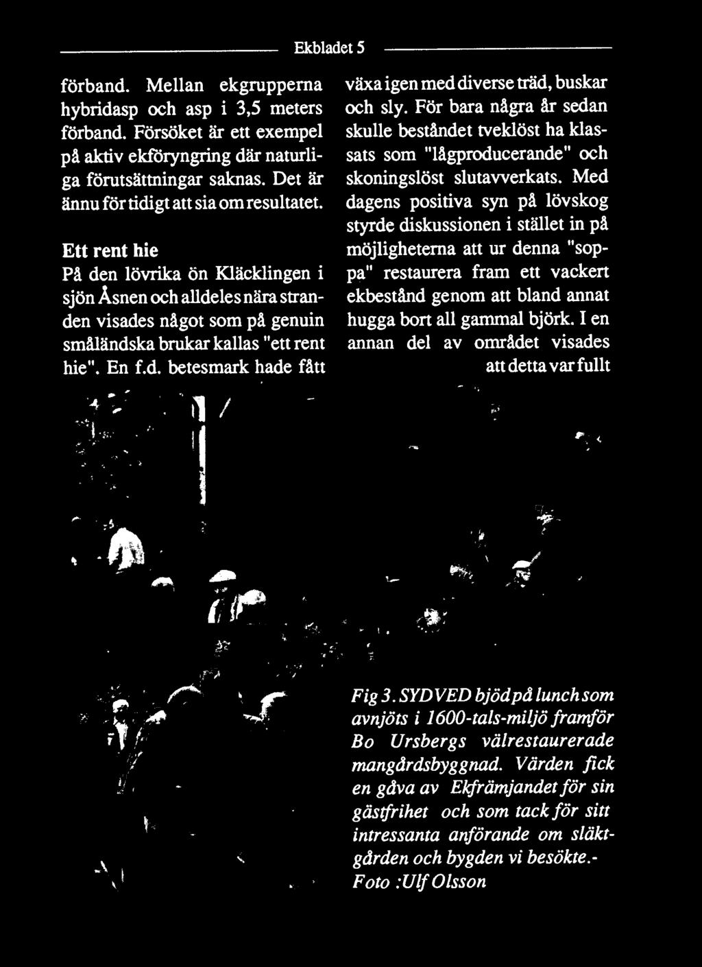 Kläcklingen i pa" restaurera fram ett vackert sjön Åsnen och alldelesnära stran- ekbestånd genom att bland annat den visades något som på genuin hugga bort all gammal björk.