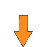 motsvarar 100 meter i