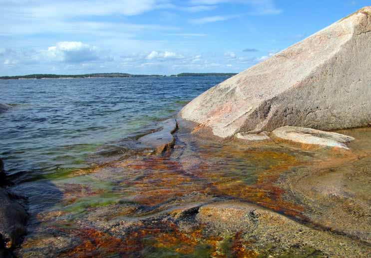 När befolkningen i Sverige började växa i slutet av 1700-talet, tog staten till många åtgärder för att utöka åkerarealen.