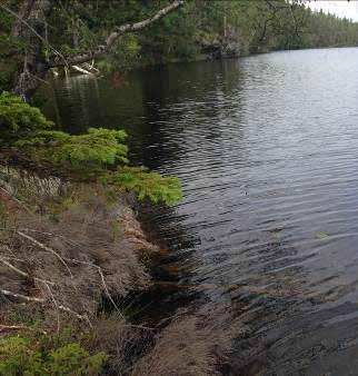 Fursjö Fursjö. Det finns lämpliga bottnar som är bra miljöer för flodkräfta även om de är få. Tidigare fanns det kräftor i Fursjön och det bedrevs ett visst fiske.